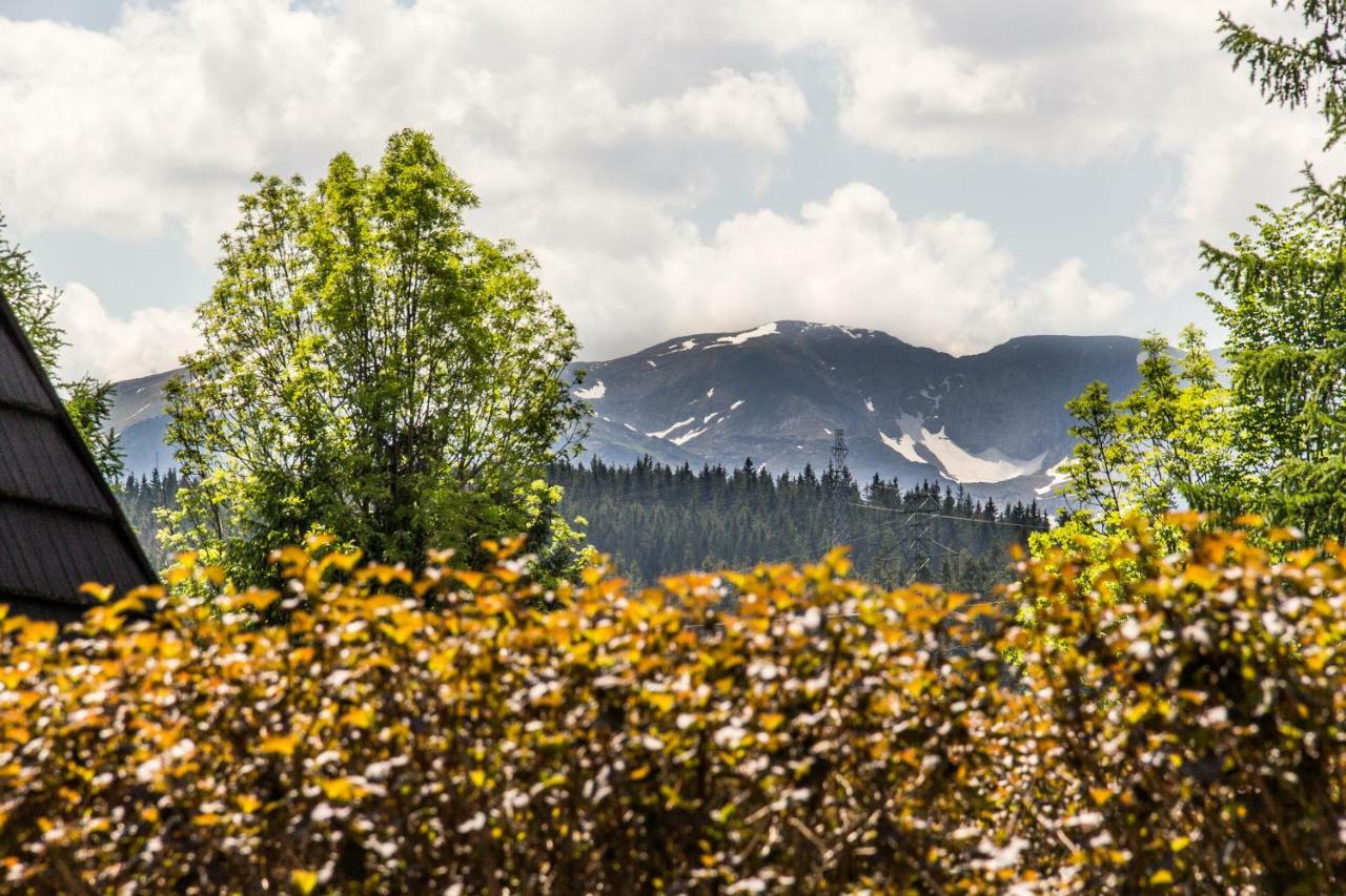 Apartamenty Osada Gubalowka Zakopane Kültér fotó